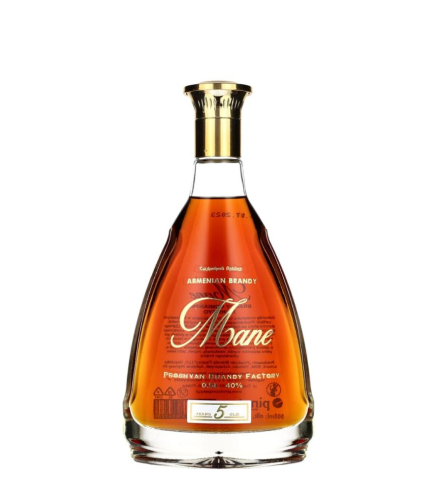 BRANDY Armenian Mane 5YO